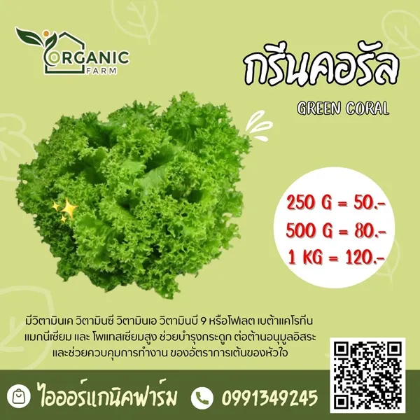 กรีนคอรัล (Green Coral)