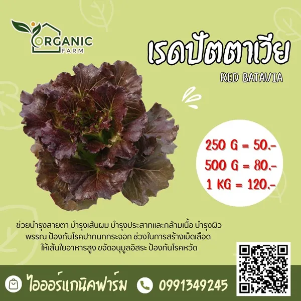 เรดปัตตาเวีย (Red Batavia)