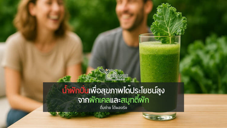 น้ำผักปั่น เครื่องดื่มสีเขียวที่เปลี่ยนสุขภาพได้ในทุกแก้ว ดื่มง่าย ได้ผลจริง เมื่อคำว่า “สุขภาพดี” เริ่มต้นที่แก้วหนึ่งแก้ว