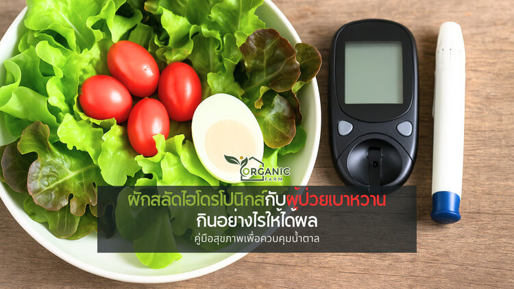 ผักสลัดไฮโดรโปนิกส์กับผู้ป่วยเบาหวาน กินอย่างไรให้ได้ผล เบาหวานกับผัก: เมื่ออาหารคือยาที่ดีที่สุดของร่างกาย