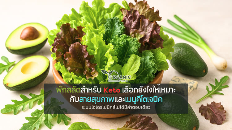 เลือกผักผิด คีโตก็พัง! รู้จักผักสลัดที่ใช่สำหรับสาย Healthy & Keto ผักสลัดกับคีโตเจนิค: ความเข้าใจพื้นฐานที่ไม่ควรมองข้าม