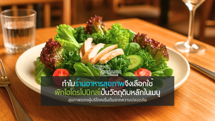 เจาะลึกเหตุผลที่ร้านอาหารสุขภาพยอมจ่ายแพงขึ้น เพื่อใช้ผักไฮโดรโปนิกส์ ภาพจำใหม่ของอาหารสุขภาพไม่ได้หยุดแค่หน้าตา แต่เริ่มจากวัตถุดิบ